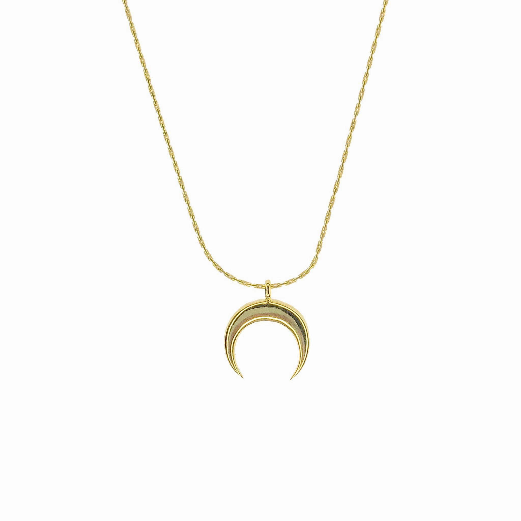 Horn ~ Salty Pendants