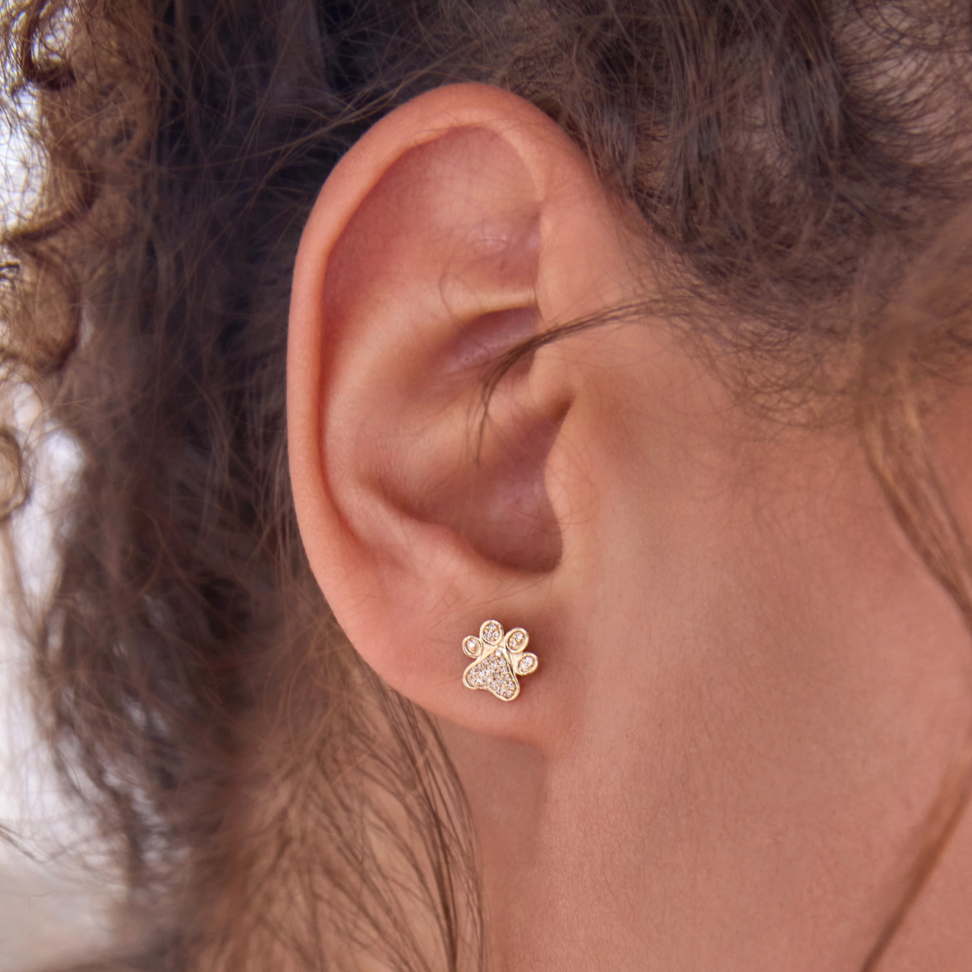 Pav Charm Stud - Paw