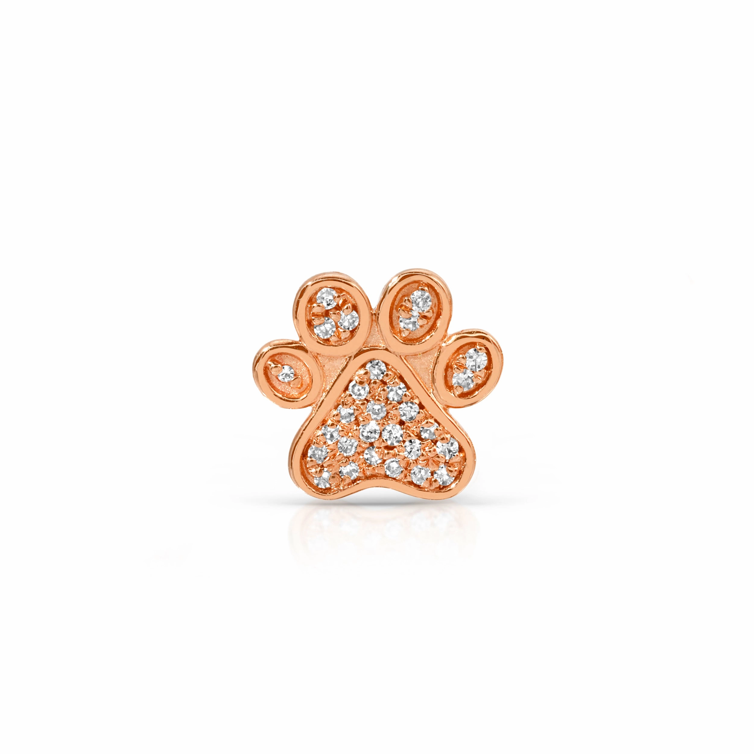Pav Charm Stud - Paw