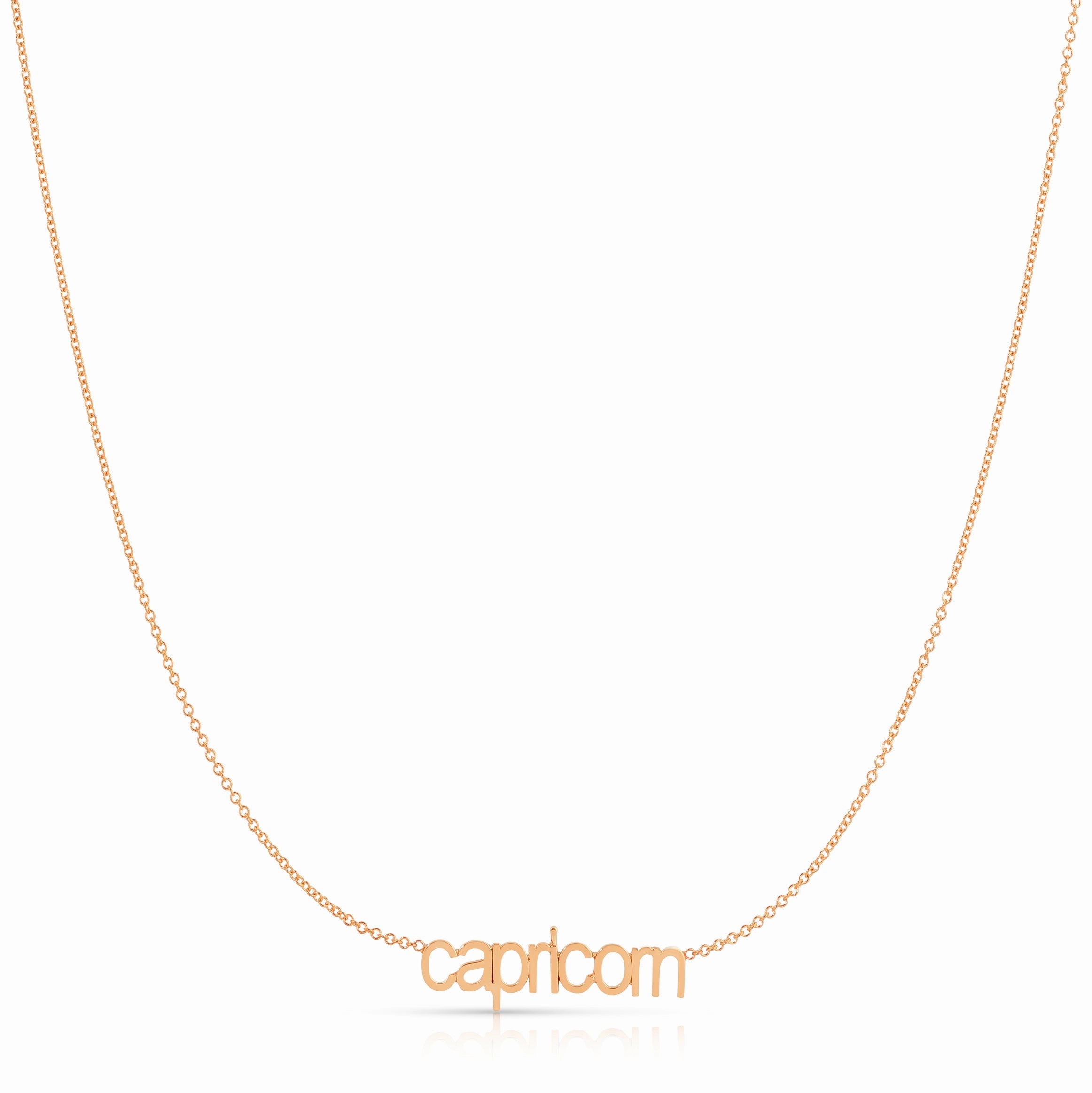 Petite Zodiac Necklace