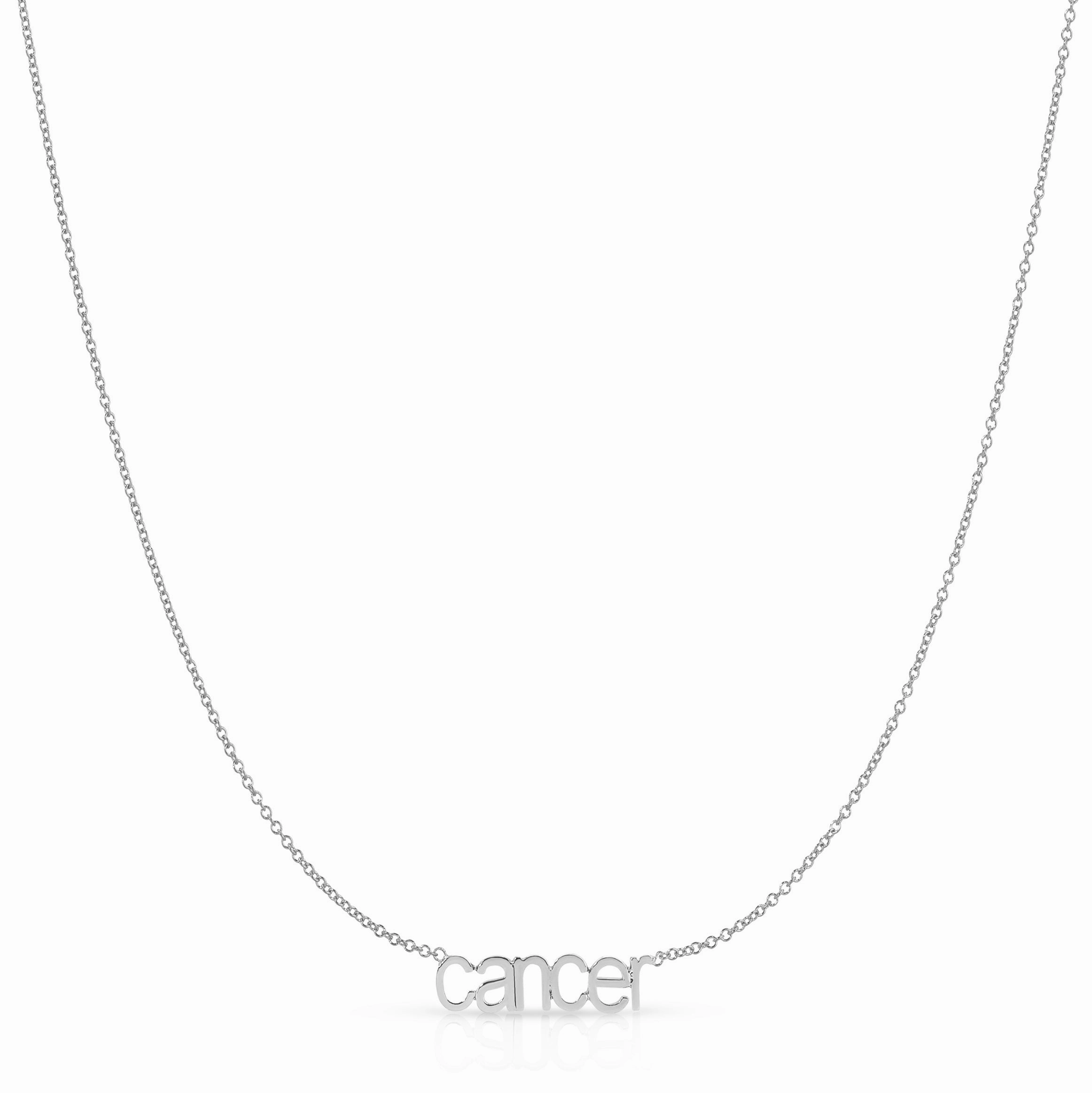 Petite Zodiac Necklace
