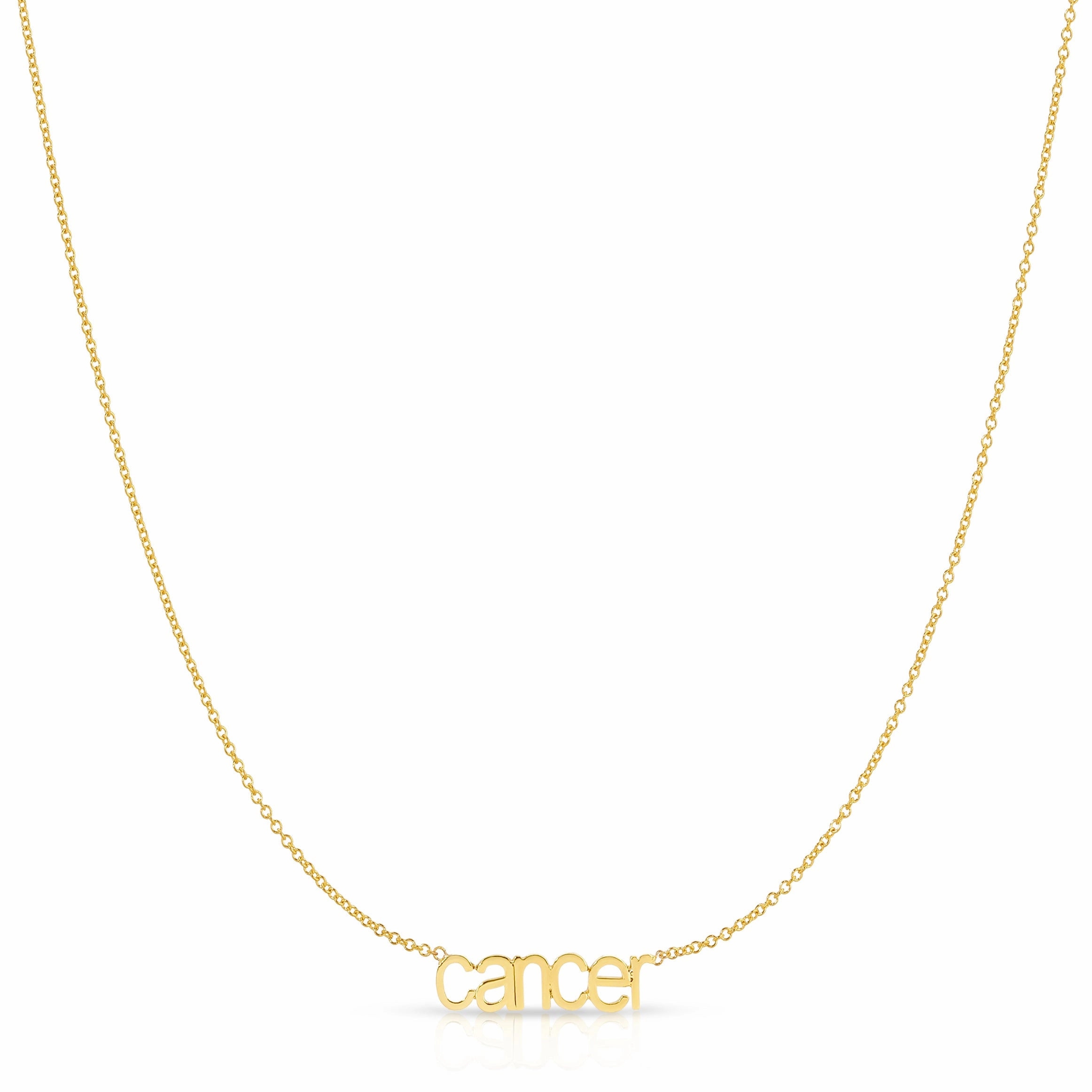 Petite Zodiac Necklace