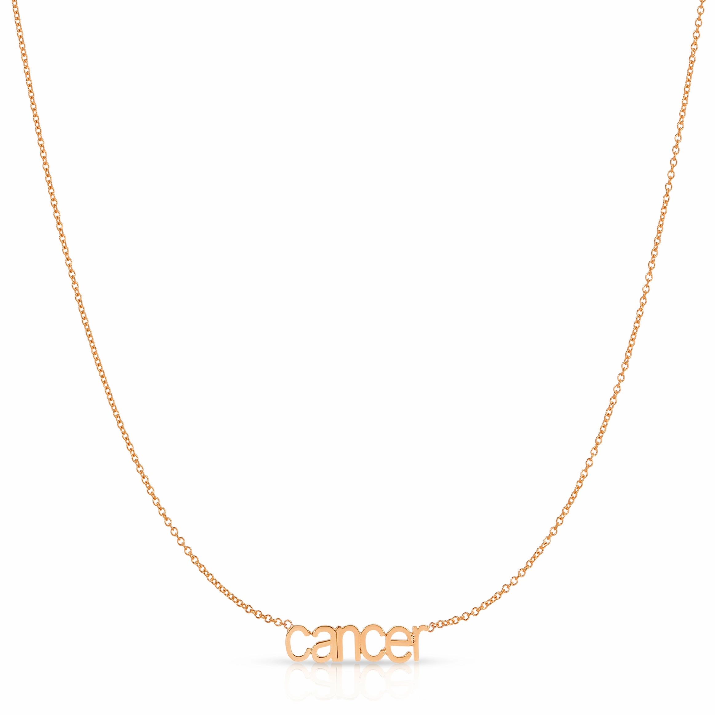 Petite Zodiac Necklace