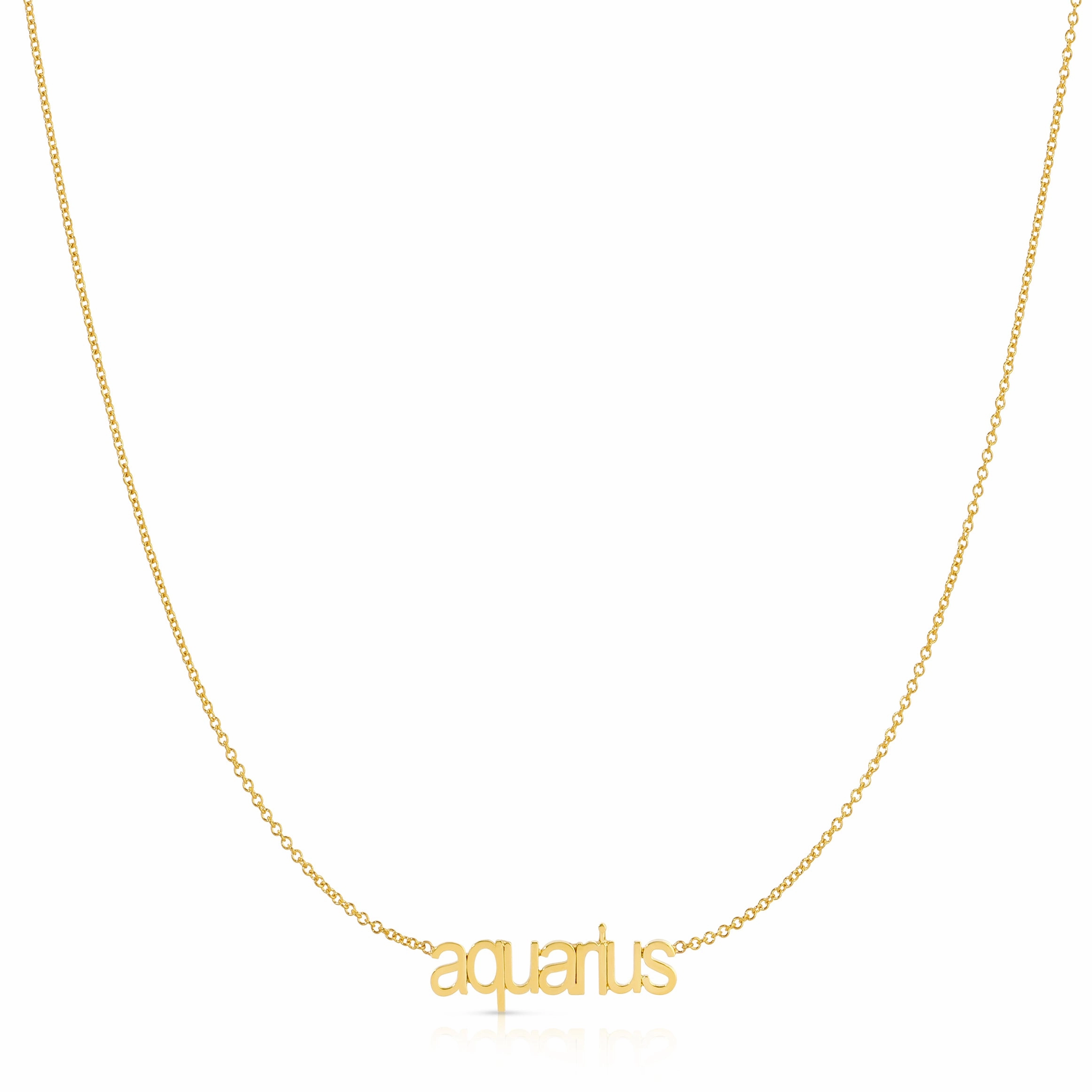 Petite Zodiac Necklace
