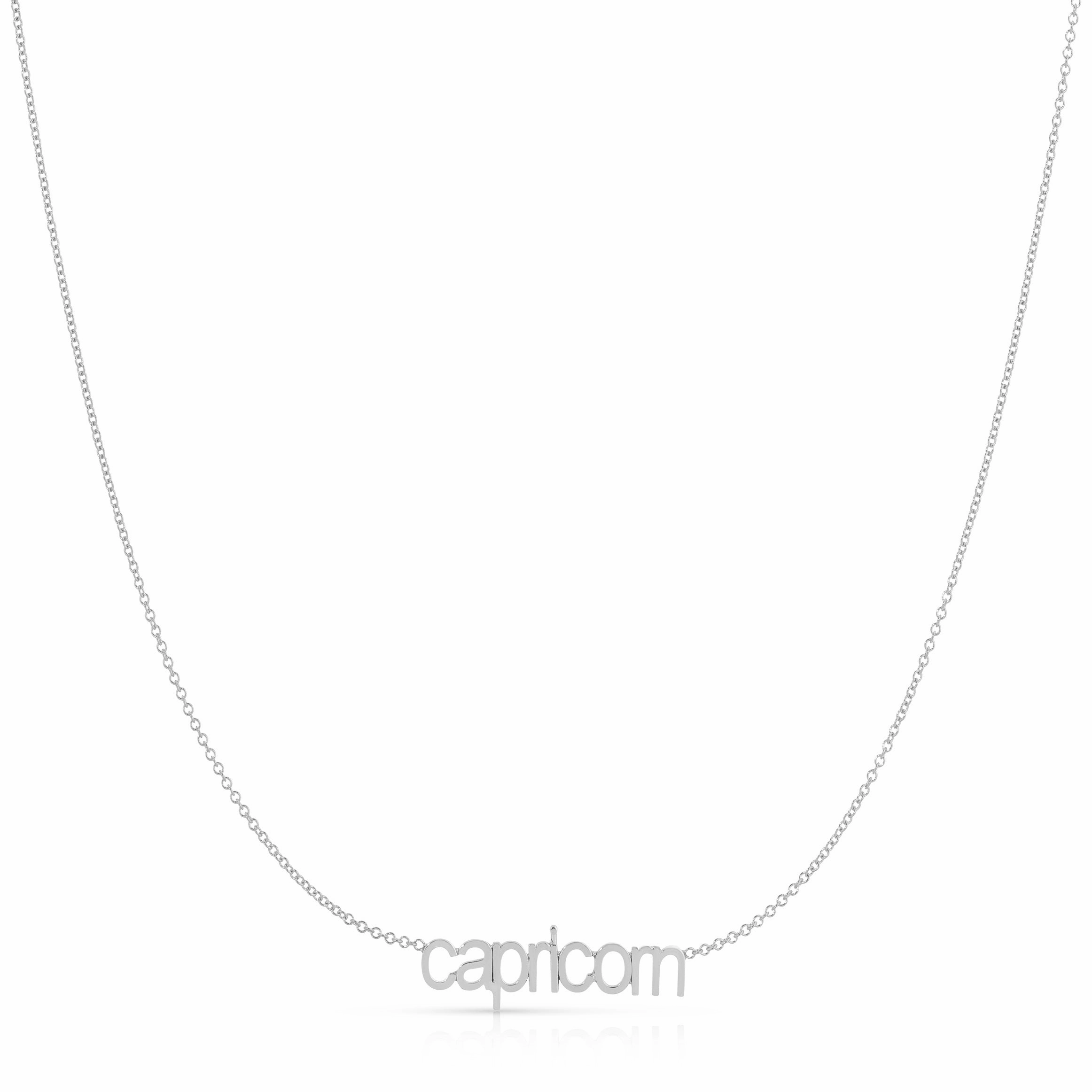 Petite Zodiac Necklace
