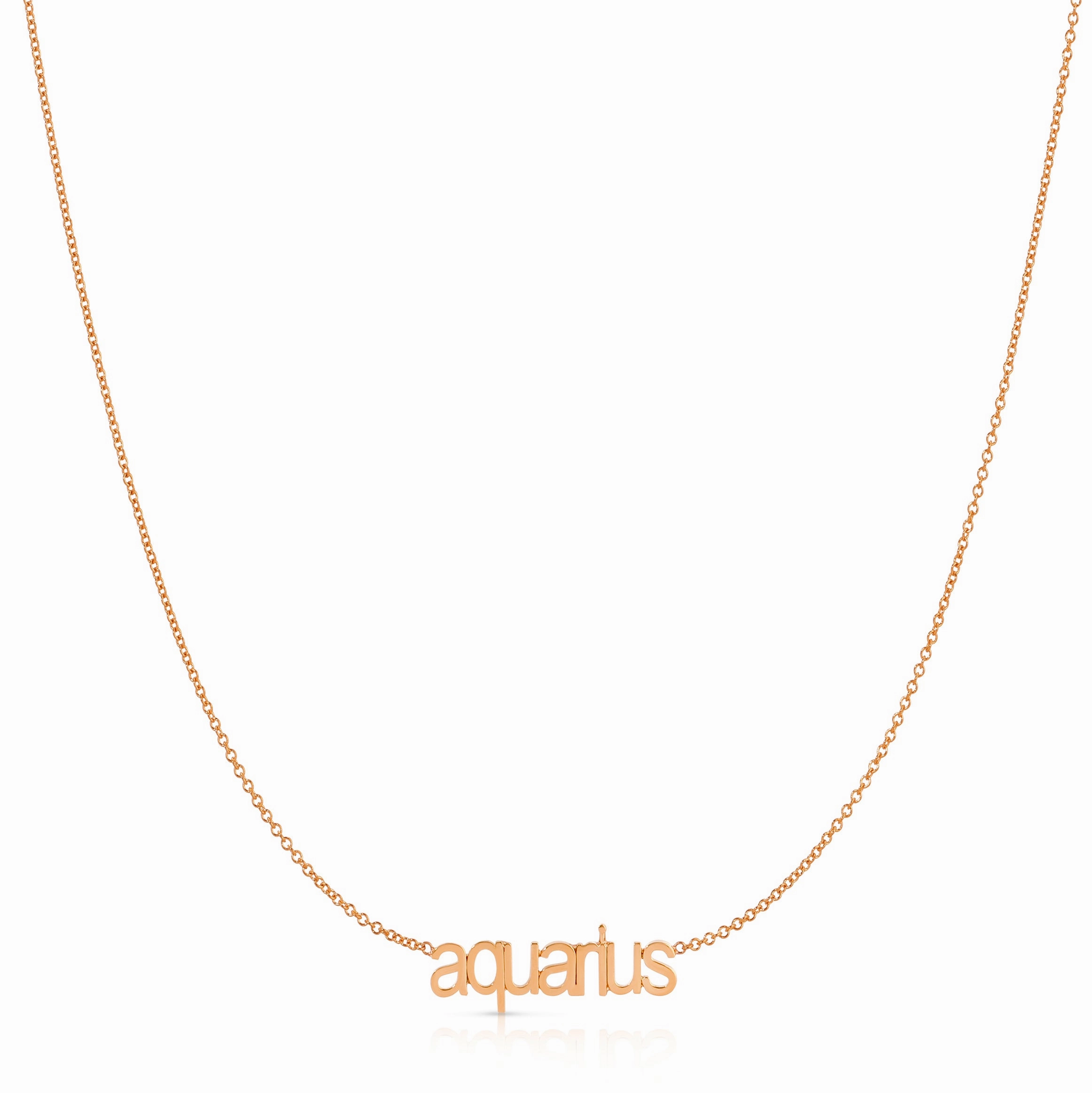 Petite Zodiac Necklace