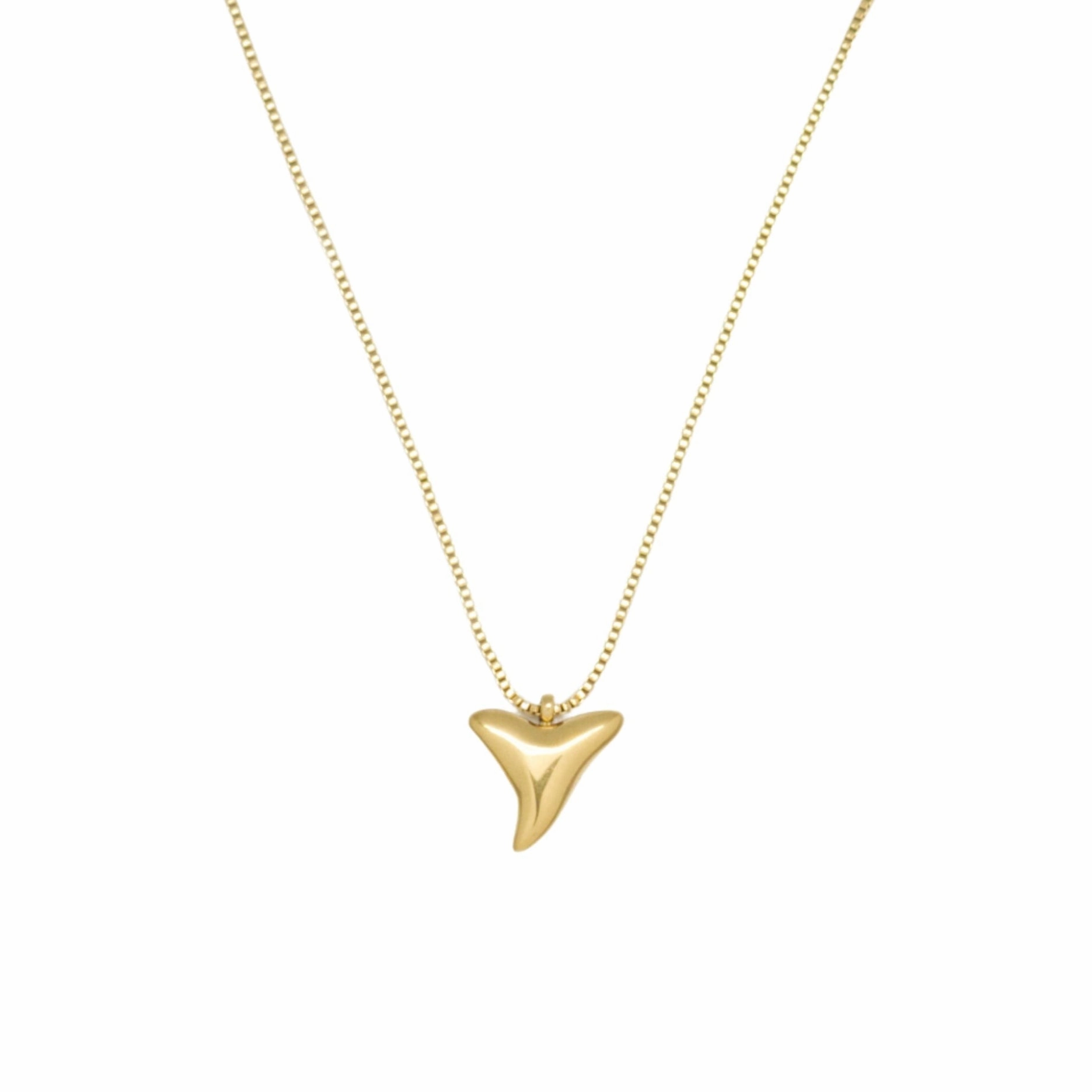 Shark tooth