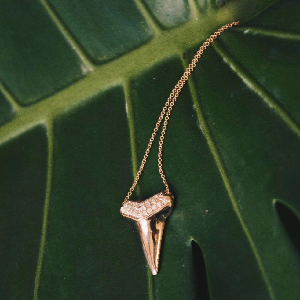 Sharktooth Necklace with Pav Top