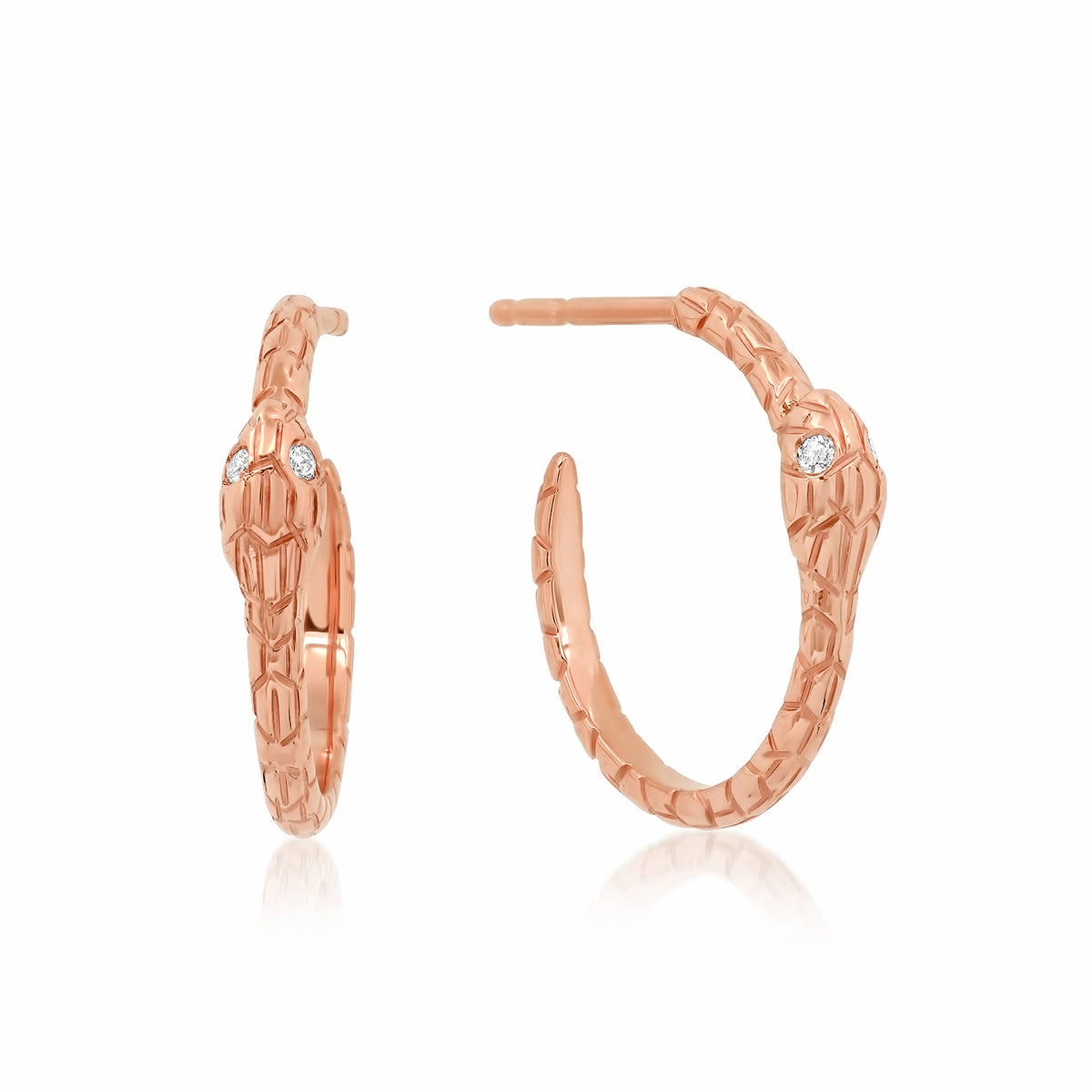 Snake Hoops