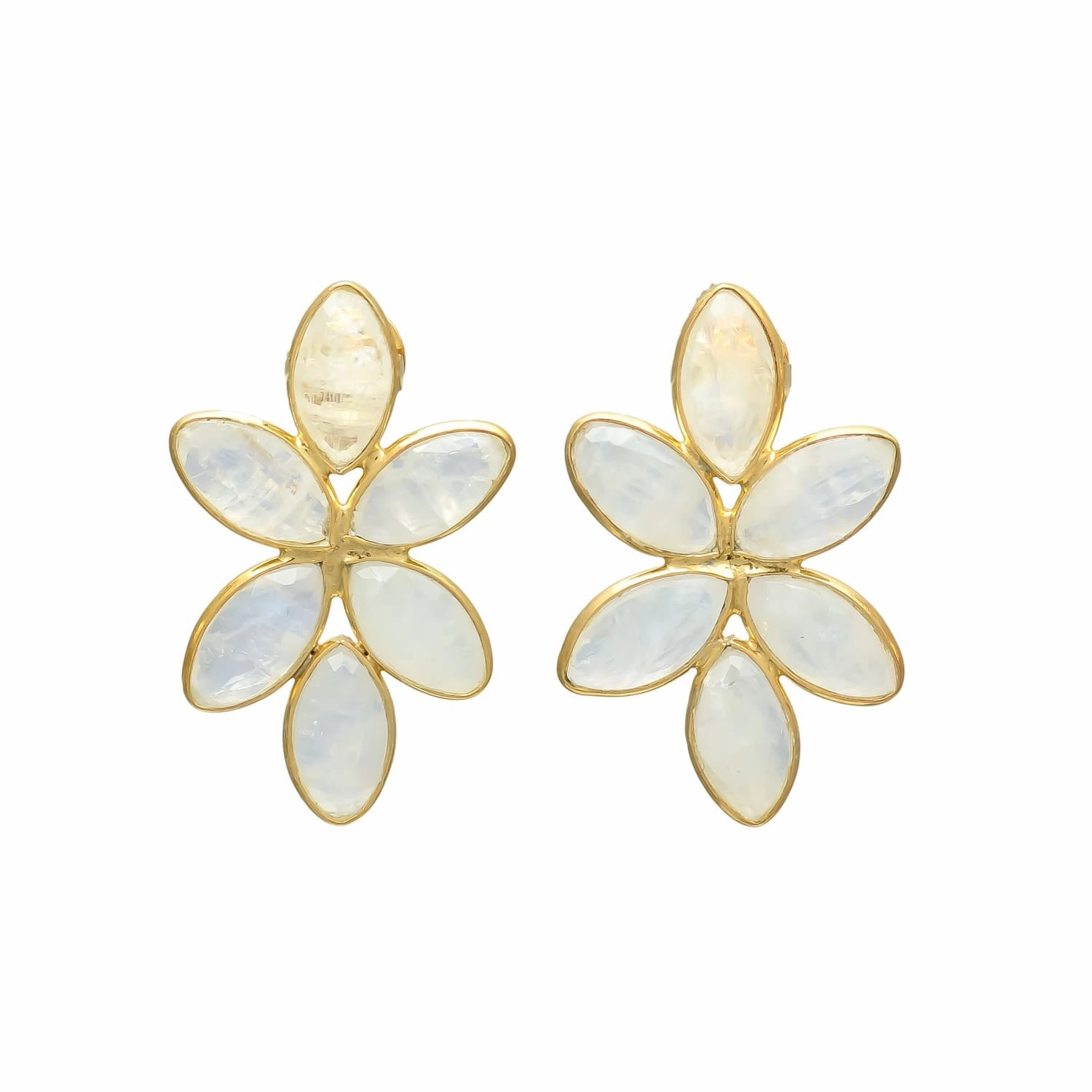 Splendid Shell Drop Earrings