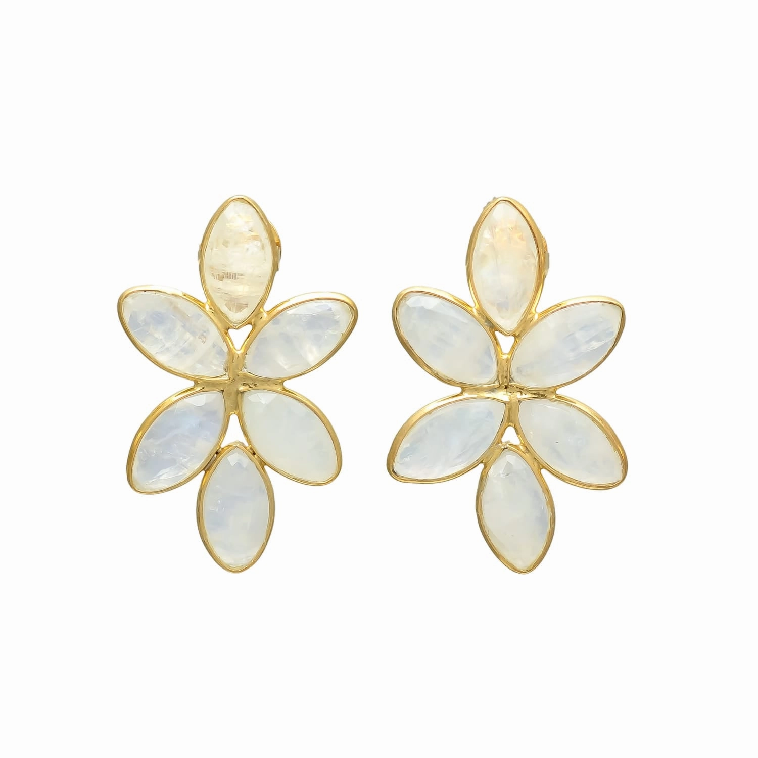 Splendid Shell Drop Earrings